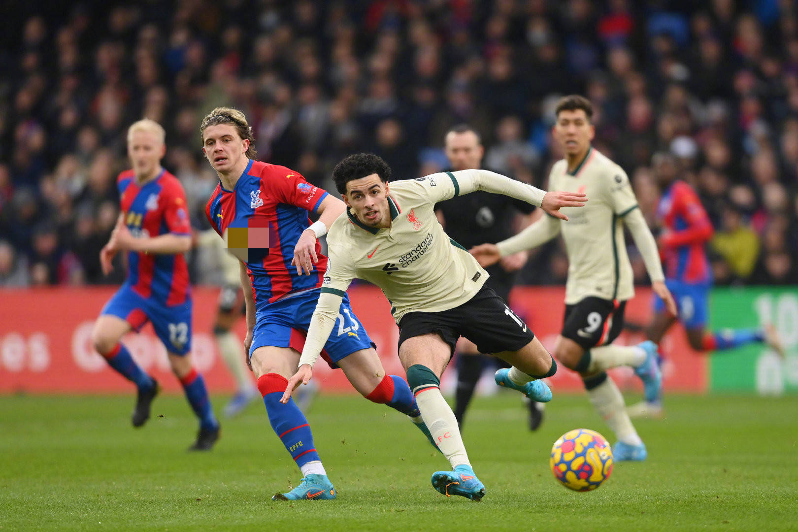 业前景的看 业前景的看